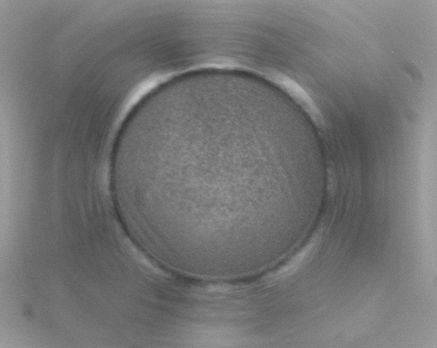 X0000115581326200911241504