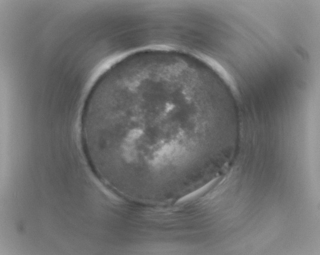 X0000115581327200911241504