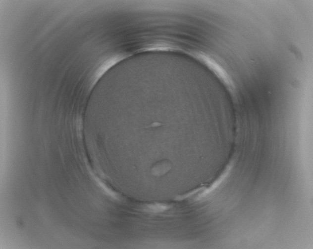 X0000115581329200911241504