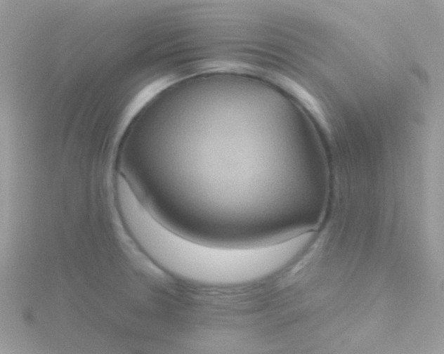 X0000115581330200911241504