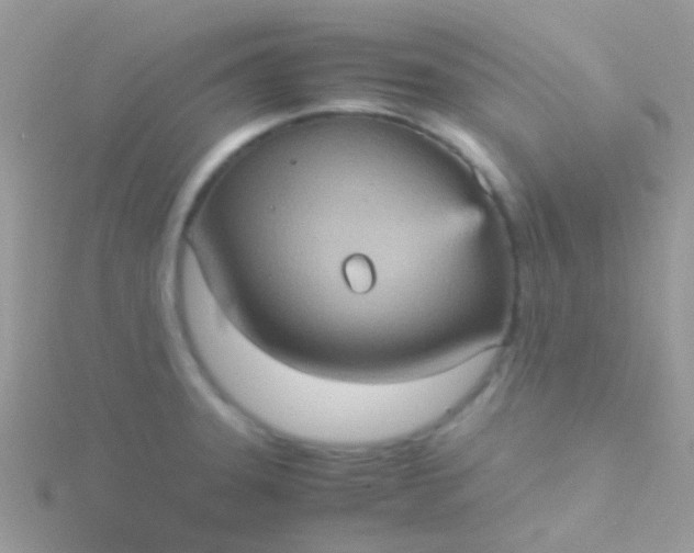 X0000115581331200911241504