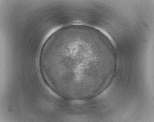 X0000115581333200911241504