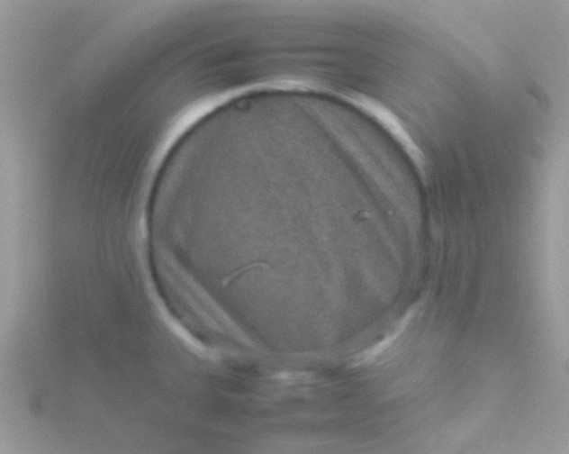 X0000115581335200911241504