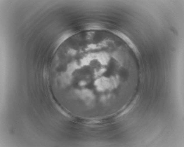 X0000115581337200911241504