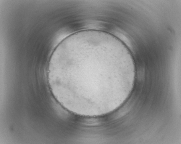 X0000115581338200911241504