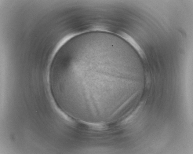 X0000115581339200911241504