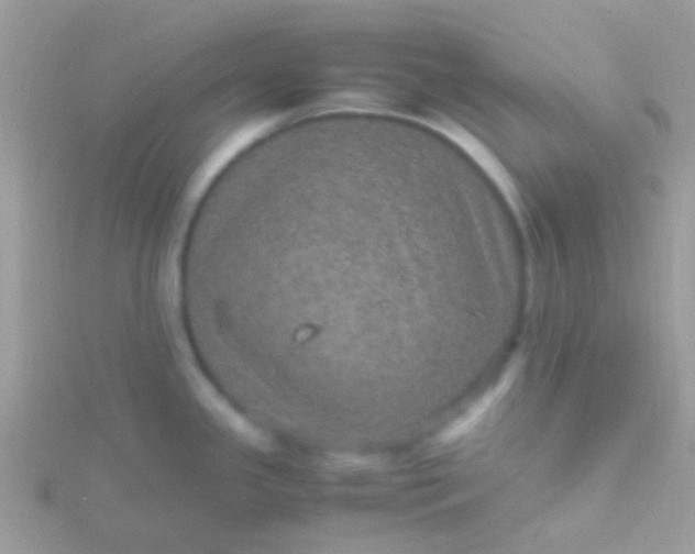 X0000115581341200911241504