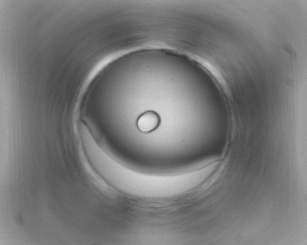 X0000115581342200911241504