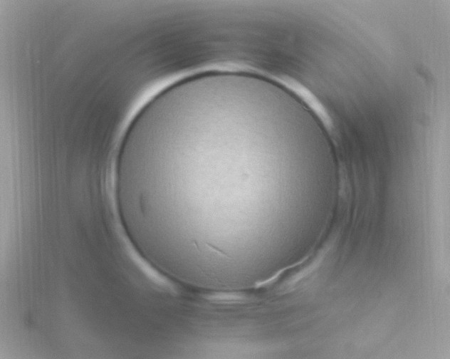 X0000115581343200911241504