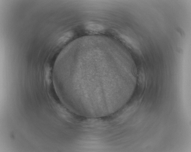 X0000115581346200911241504