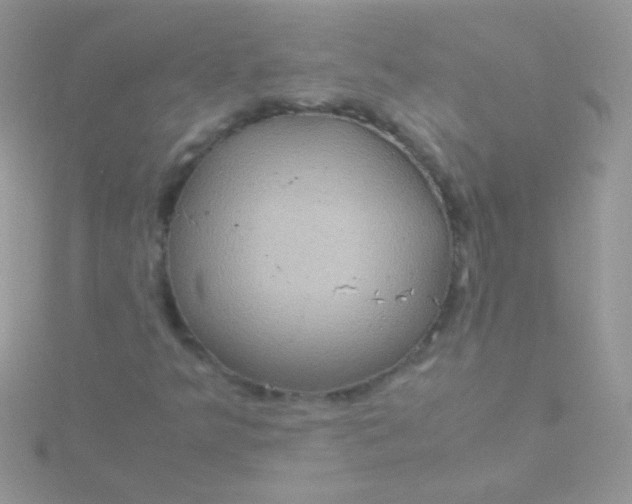 X0000115581349200911241504