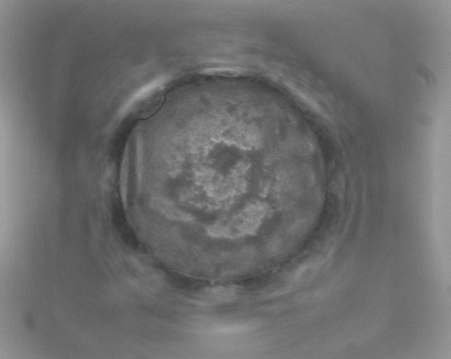 X0000115581351200911241504