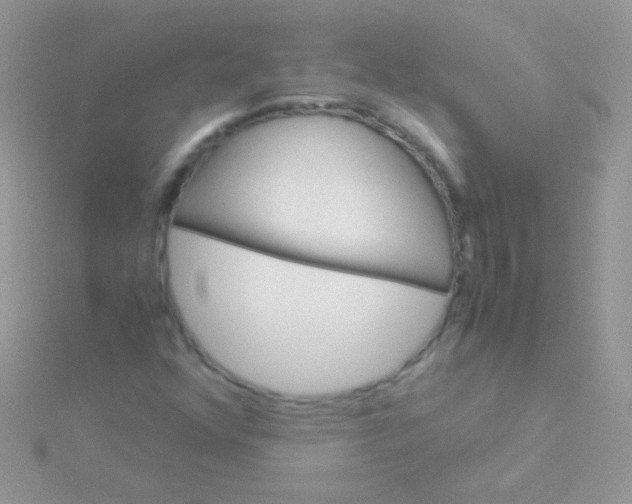 X0000115581352200911241504