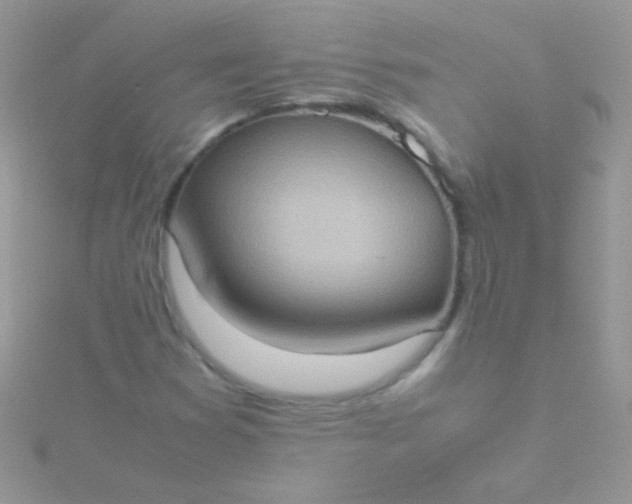 X0000115581353200911241504