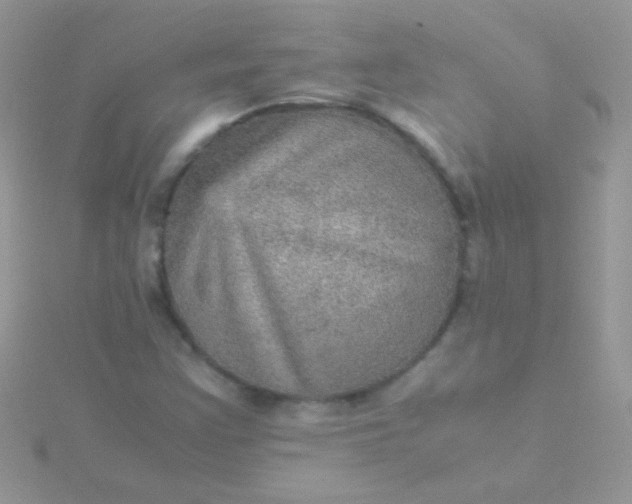 X0000115581355200911241504