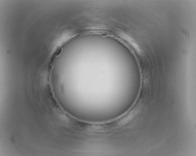 X0000115581357200911241504