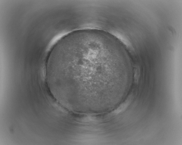 X0000115581358200911241504