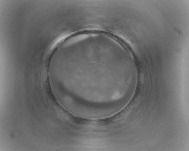 X0000115581359200911241504