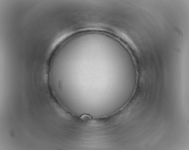 X0000115581360200911241504