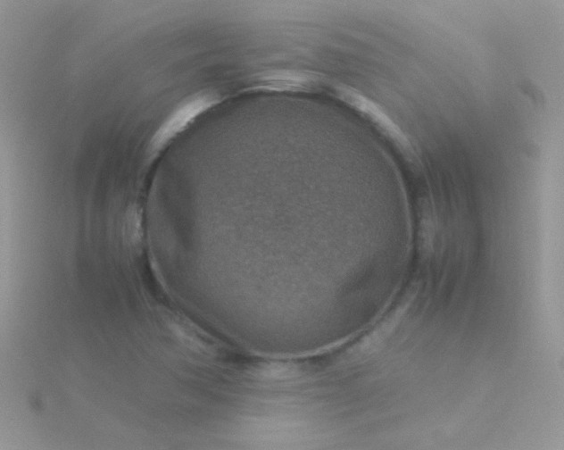 X0000115581362200911241504