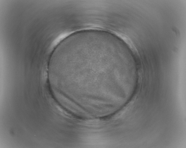 X0000115581363200911241504