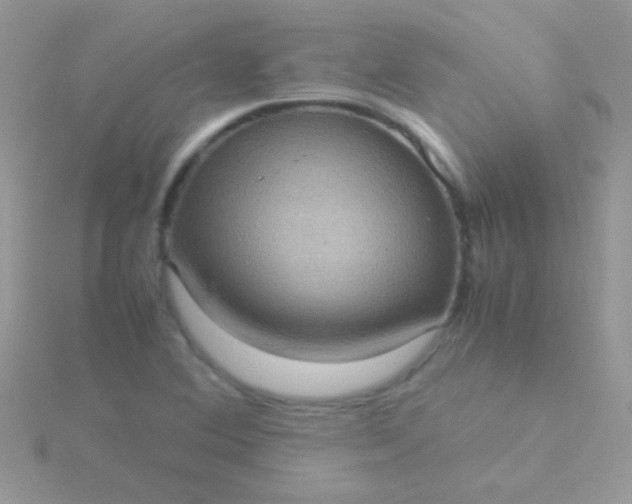 X0000115581364200911241504