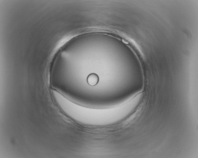 X0000115581365200911241504