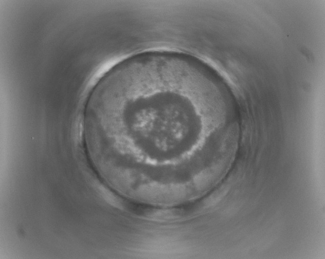 X0000115581367200911241504