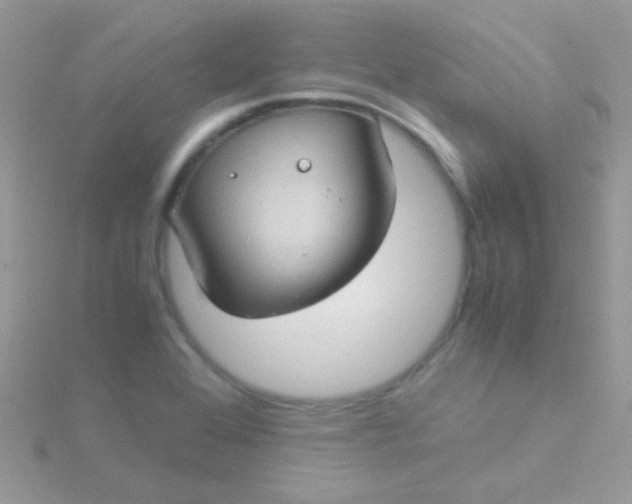 X0000115581368200911241504