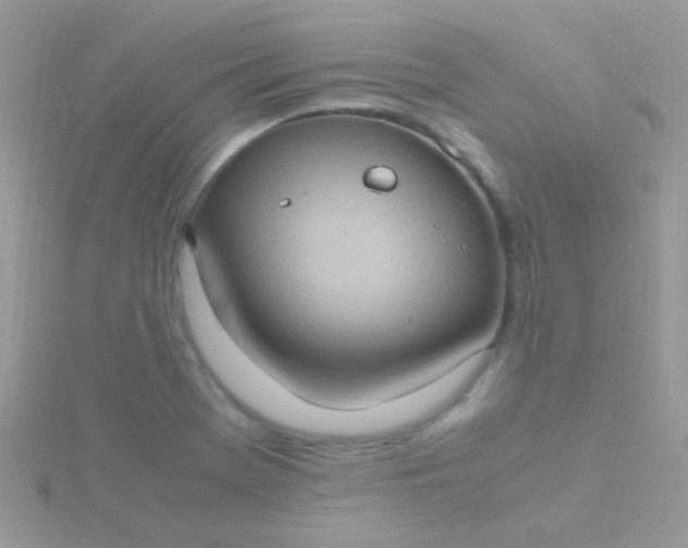 X0000115581369200911241504