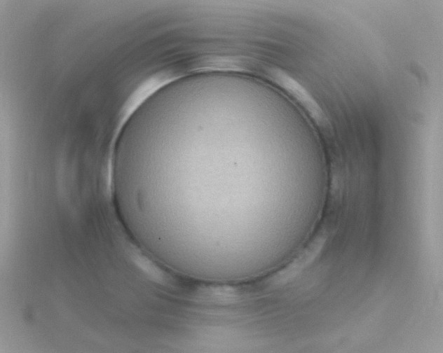 X0000115581370200911241503