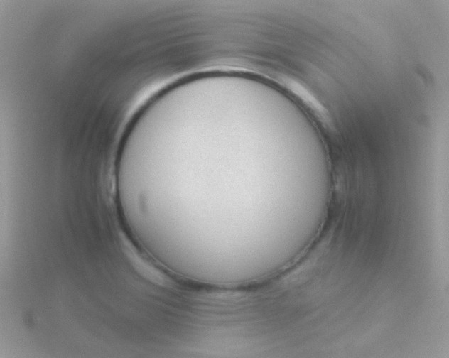 X0000115581372200911241503