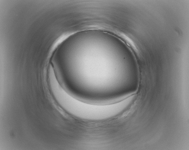 X0000115581373200911241503