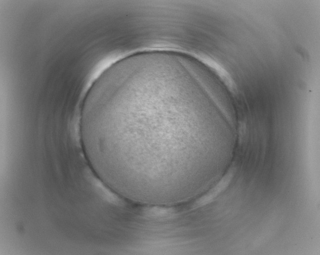 X0000115581374200911241503