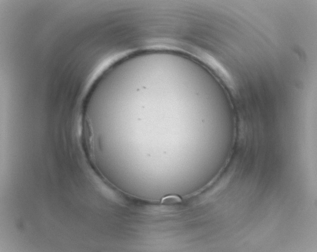 X0000115581376200911241503