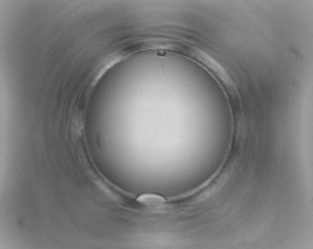 X0000115581377200911241503