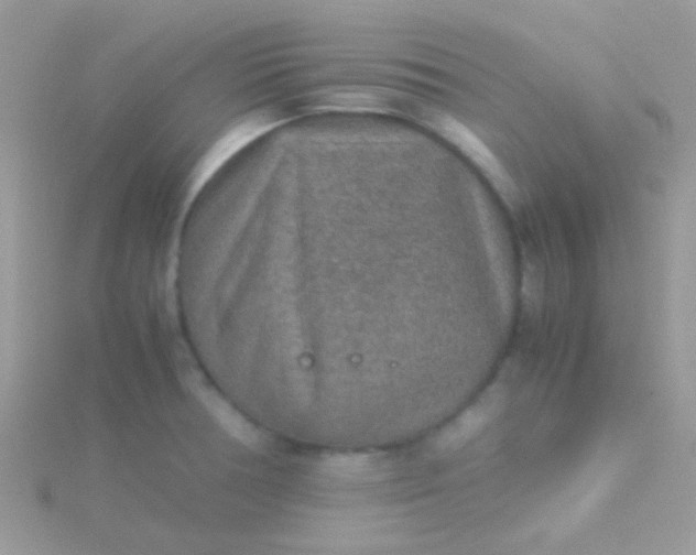 X0000115581378200911241503