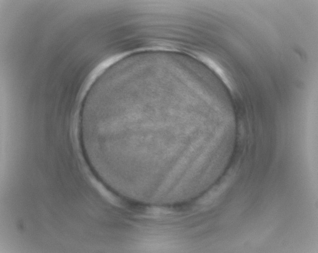 X0000115581379200911241503