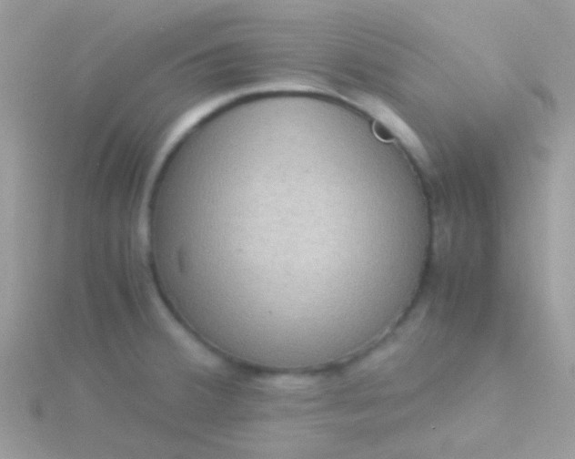 X0000115581380200911241503