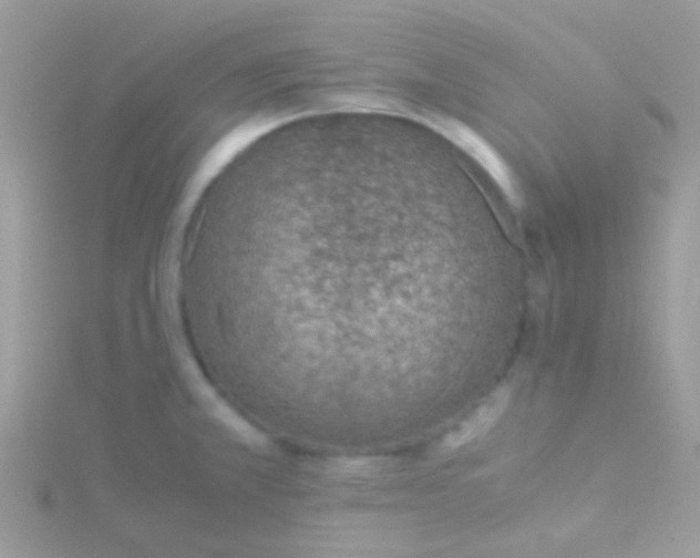 X0000115581381200911241503