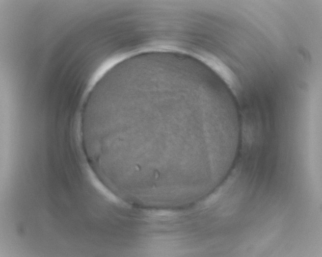 X0000115581382200911241503