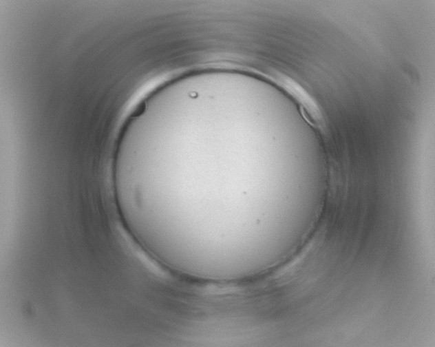 X0000115581384200911241503