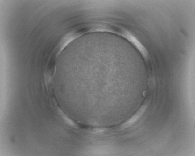 X0000115581385200911241503