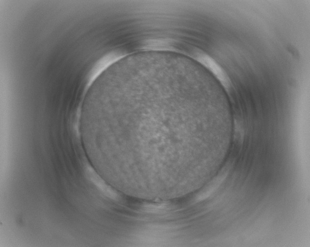 X0000115581386200911241503