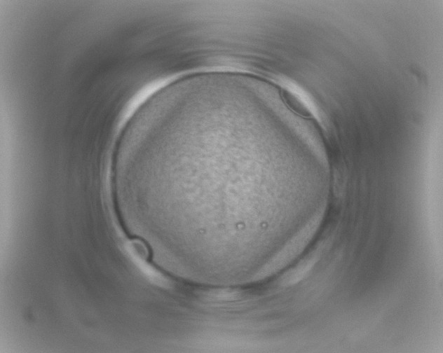 X0000115581387200911241503