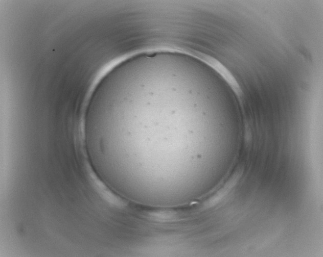 X0000115581388200911241503