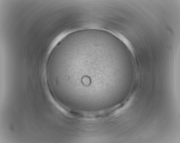 X0000115581389200911241503