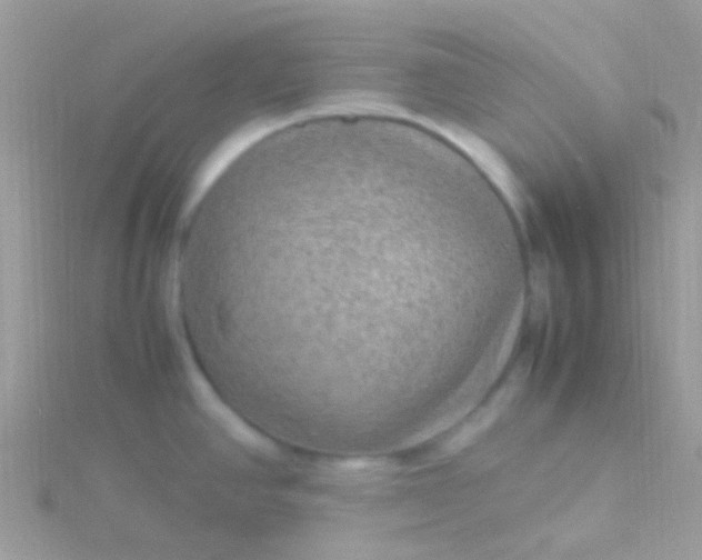 X0000115581390200911241503