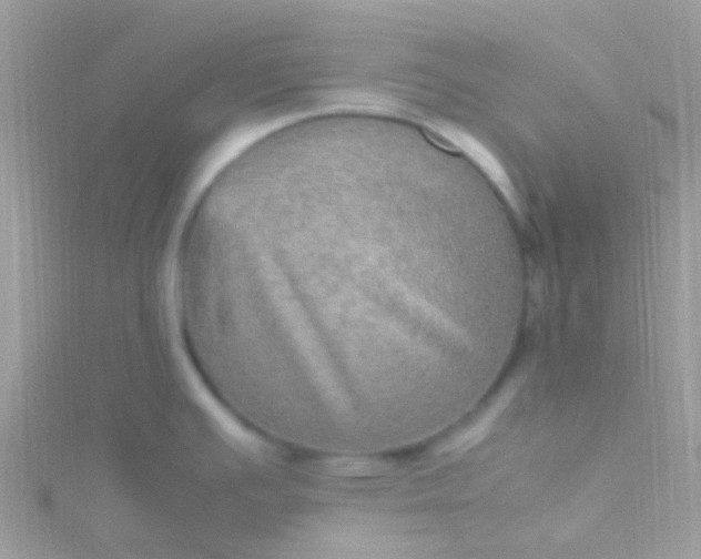 X0000115581391200911241503