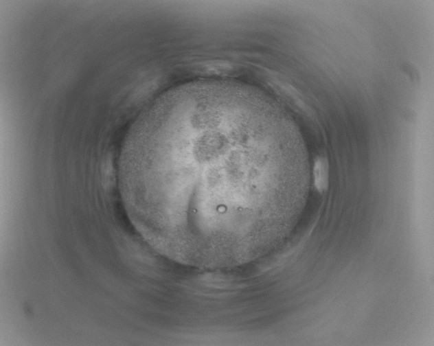 X0000115581395200911241502